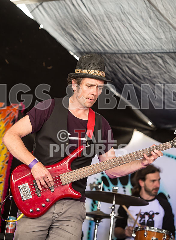 Whose Shoes-6 - WHOSE SHOES