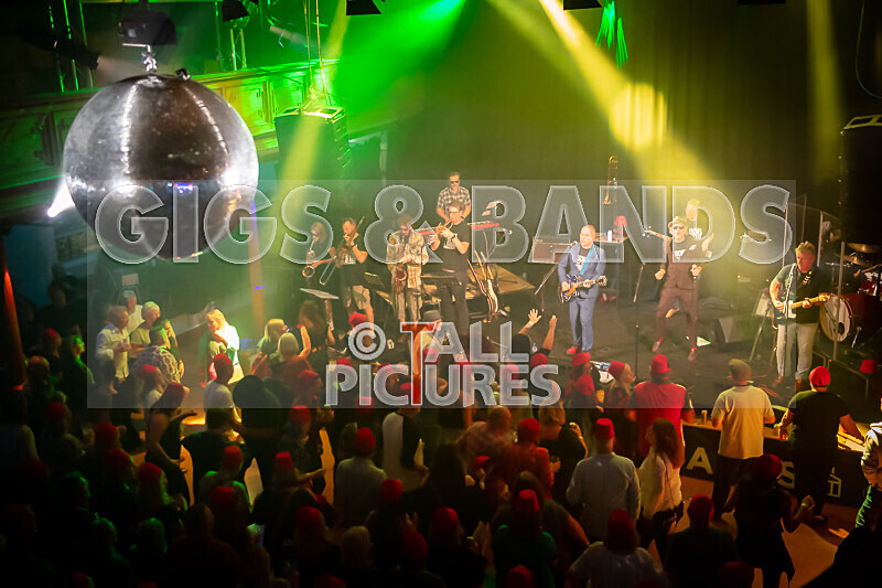 Sons of the Desert-359 - SONS OF THE DESERT