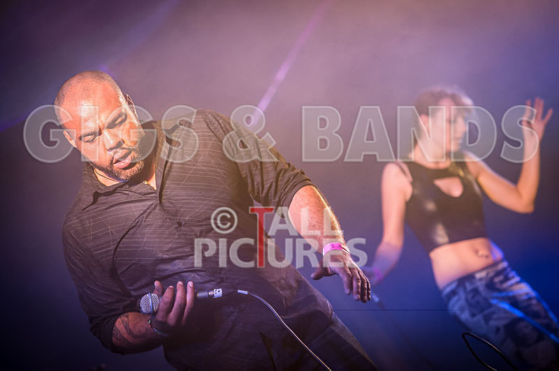 FireFarm-51 - FIREFARM