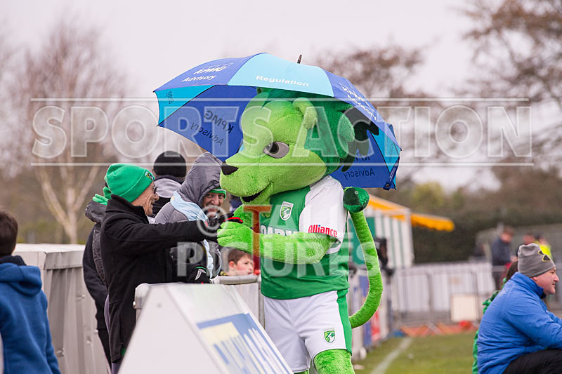 GFC v Thamesmead Town-28 - GUERNSEY FC v THAMESMEAD TOWN
