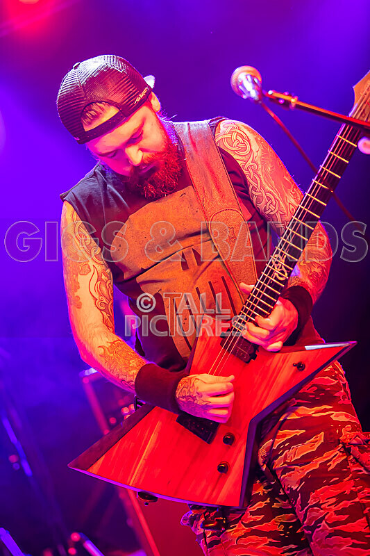 Demise of Sanity-245 - DEMISE OF SANITY