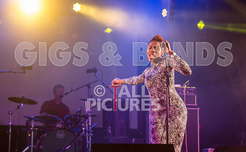 The Delegators-31 - THE DELEGATORS