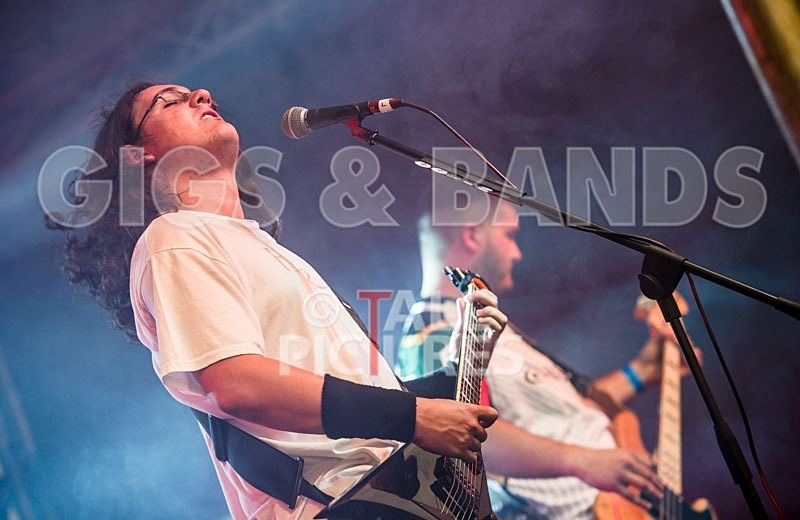 Chaos 2013_Demise of Sanity-17 - DEMISE OF SANITY