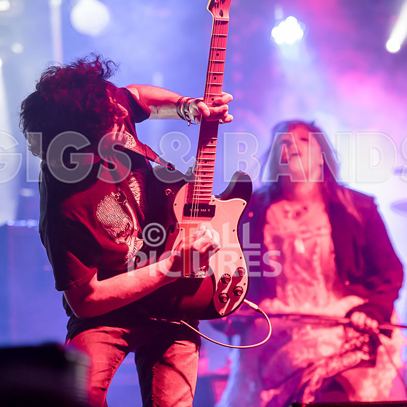 Static Alice-485 - STATIC ALICE