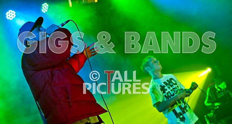 Asylum Seekas-3 - ASYLUM SEEKAS AT IVY CASTLE