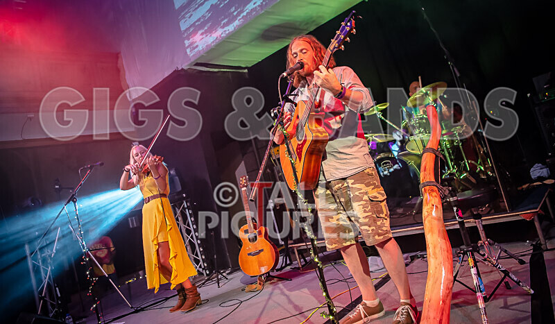 Buffalo Huddleston-556 - BUFFALO HUDDLESTON