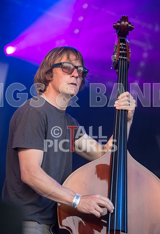 Buffalo Huddleston-160 - BUFFALO HUDDLESTON