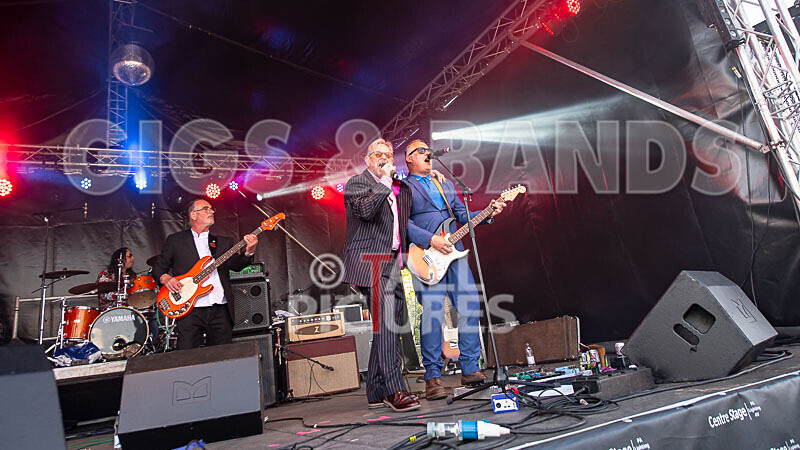 The Devotees-140 - THE DEVOTEES