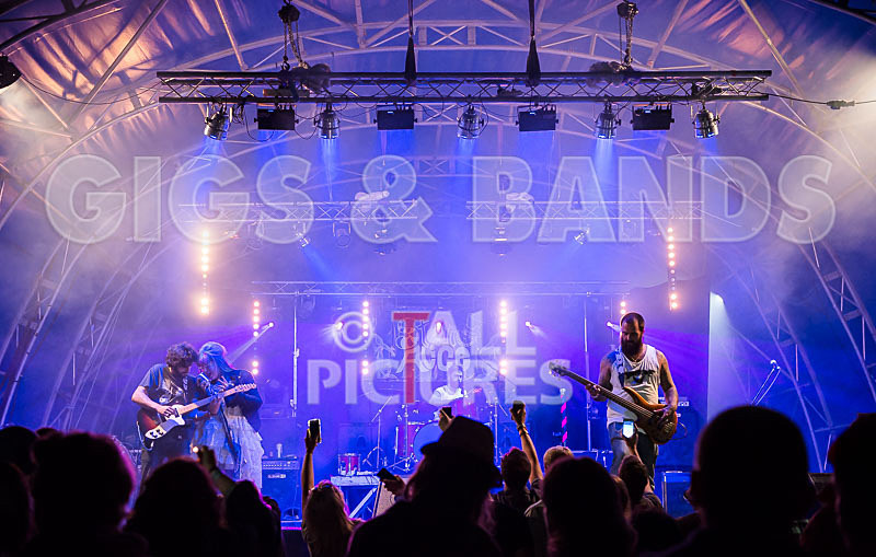 Static Alice-482 - STATIC ALICE