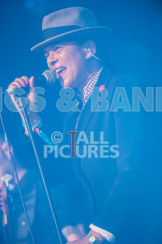 The Selecter-33 - THE SELECTER