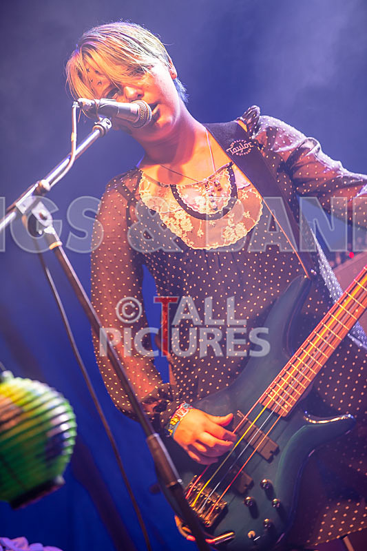 Track Not Found-455 - track not found