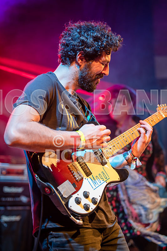 Static Alice-802 - STATIC ALICE