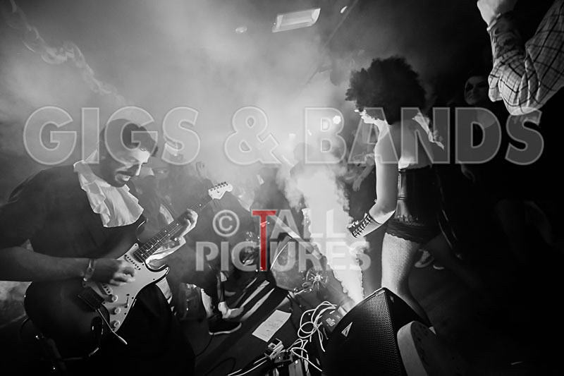 Static Alice-700 - STATIC ALICE