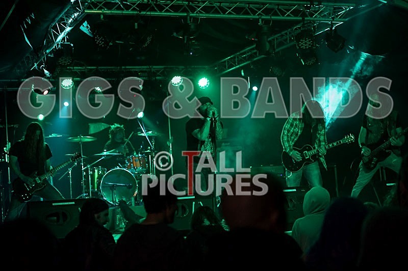 Viking Skull-9 - VIKING SKULL