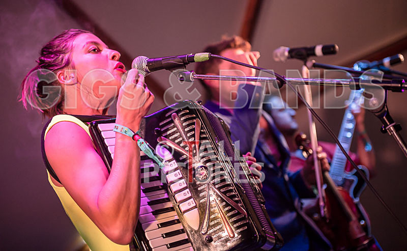 Molotov Jukebox-1 - MOLOTOV JUKEBOX