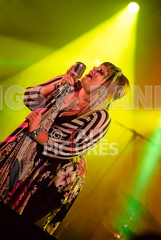 Static Alice-613 - STATIC ALICE