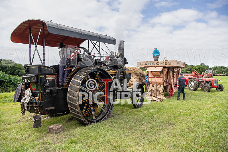 Guernsey Agricultural Show 2021-33 - GUERNSEY AGRICULTURAL SHOW 2021