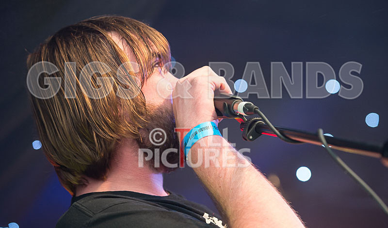 To the Woods-338 - TO THE WOODS