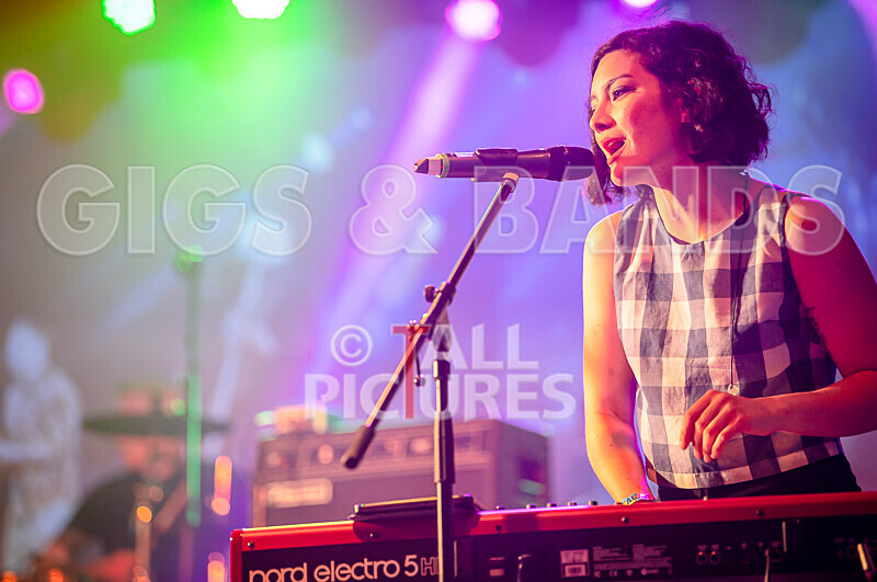 The King Blues-10 - THE KING BLUES