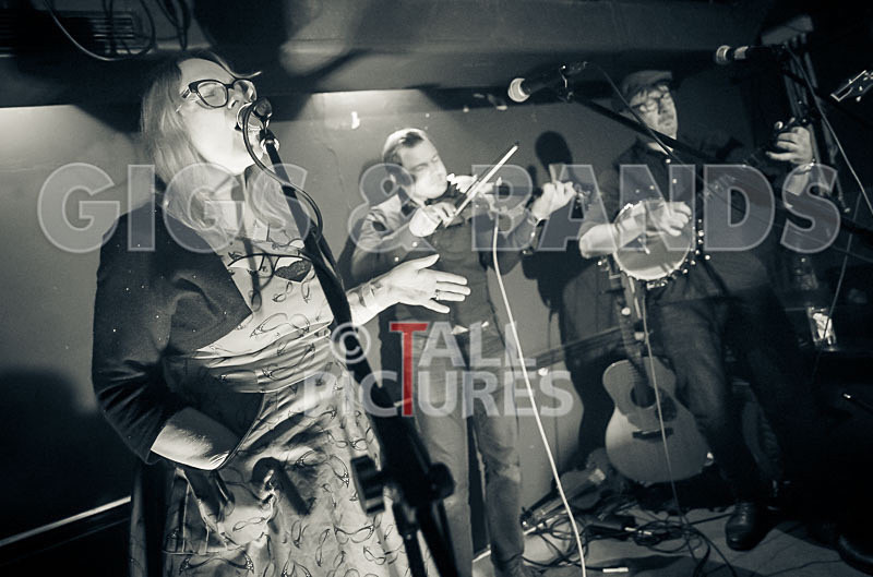 Blue Mountains-99 - VALE EARTH FAIR UNPLUGGED 2018