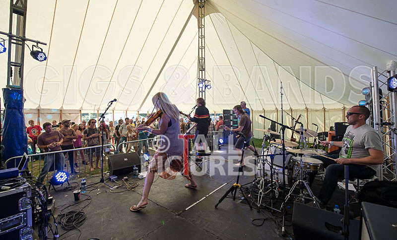 Buffalo Huddleston-291 - BUFFALO HUDDLESTON