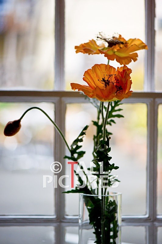 Duke of Normandie Hotel-133 - DUKE OF NORMANDIE HOTEL