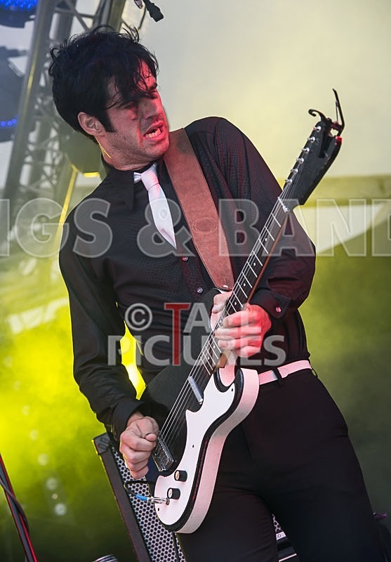 Surfin Birds-7 - THE SURFIN' BIRDS