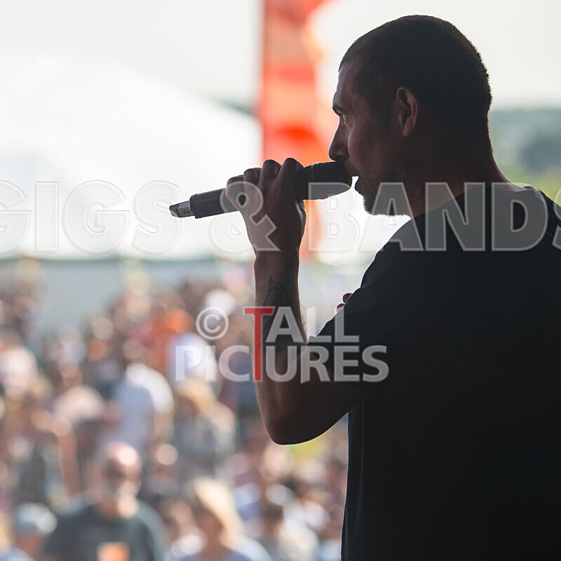 Buffalo Huddleston-723 - BUFFALO HUDDLESTON