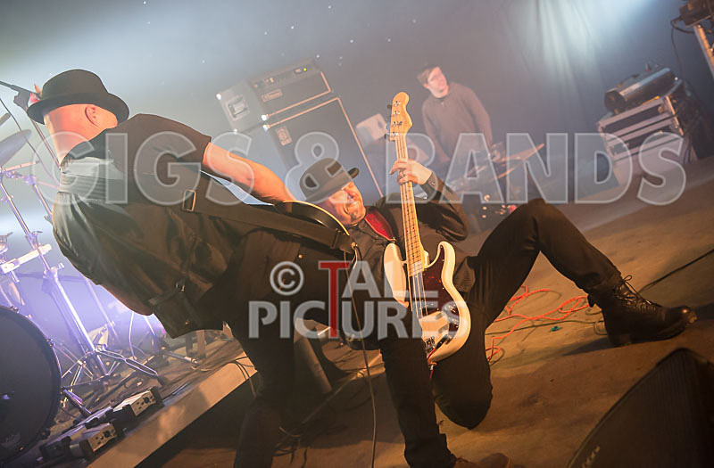 Peppered Ant Legs-192 - PEPPERED ANT LEGS