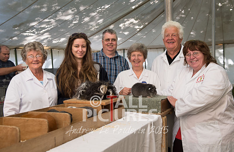 North Show_2014-9 - NORTH SHOW 2014