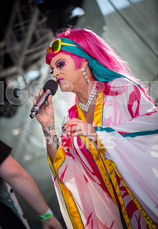 Vale Earth Fair 2020_THE SCENE-63 - VALE EARTH FAIR 2020_THE SCENE