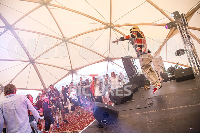 Professor Elemental-4 - PROFESSOR ELEMENTAL