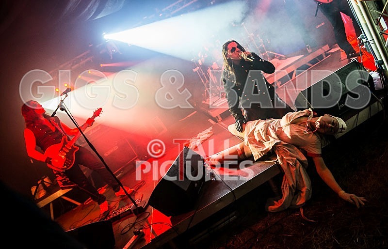 Gallus Cooper-45 - GALLUS COOPER