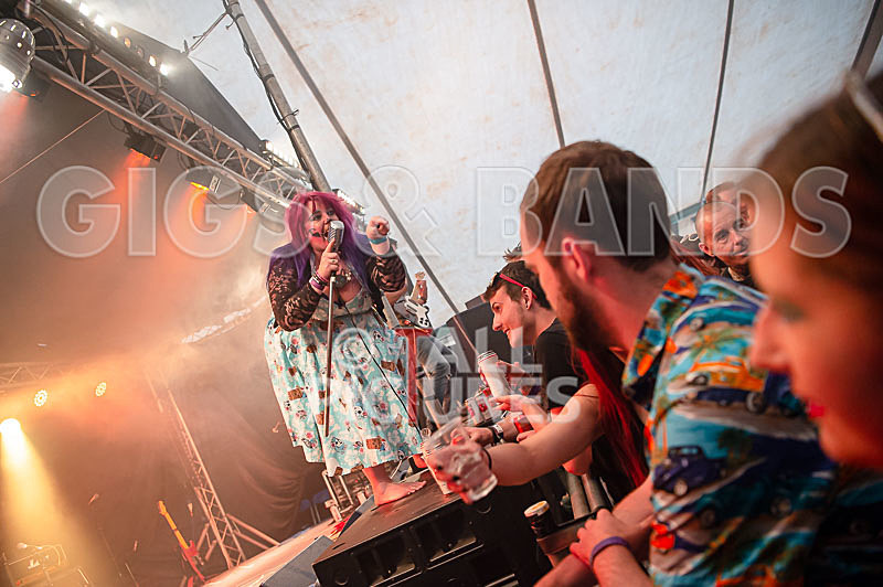 Static Alice-749 - STATIC ALICE