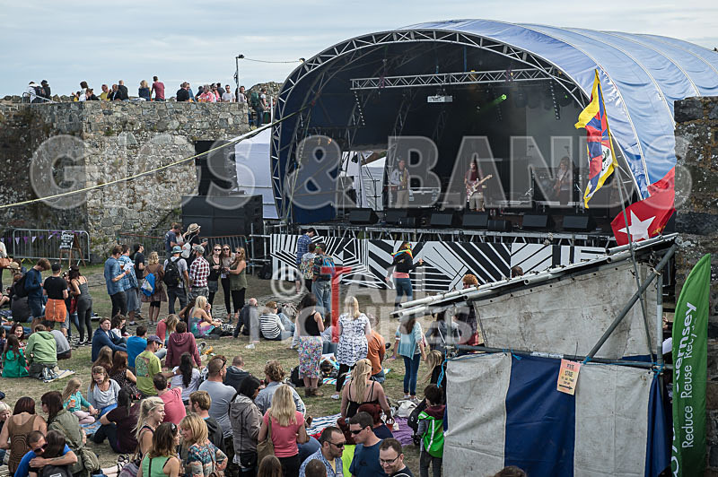 Vale Earth Fair_Atmosphere_2014-79 - VALE EARTH FAIR 2014 - THE ATMOSPHERE