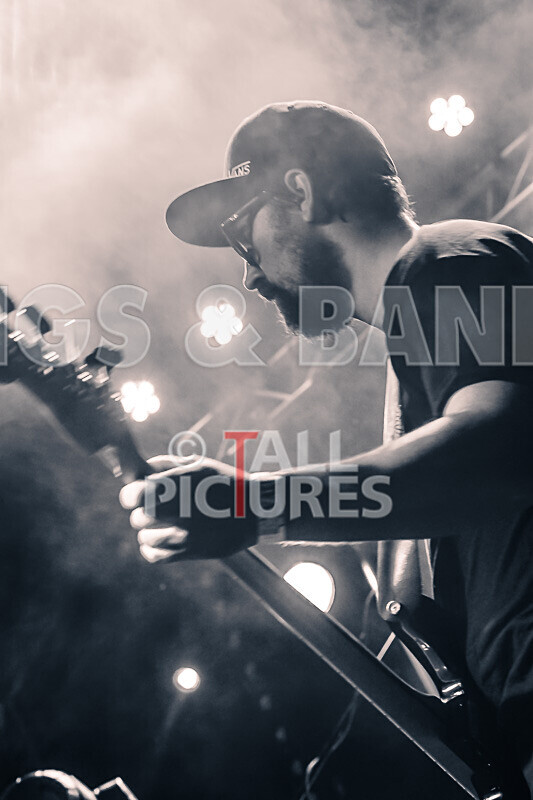 To the Woods-448 - TO THE WOODS