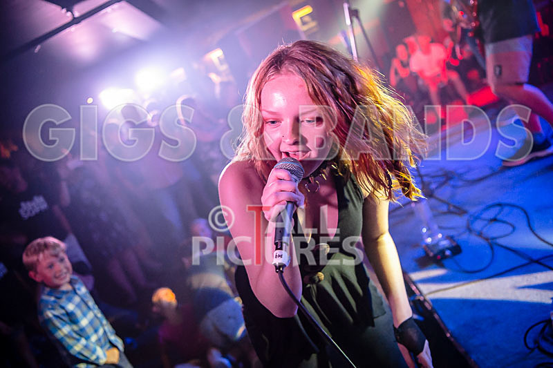 Unconventional Sponge-16 - UNCONVENTIONAL SPONGE