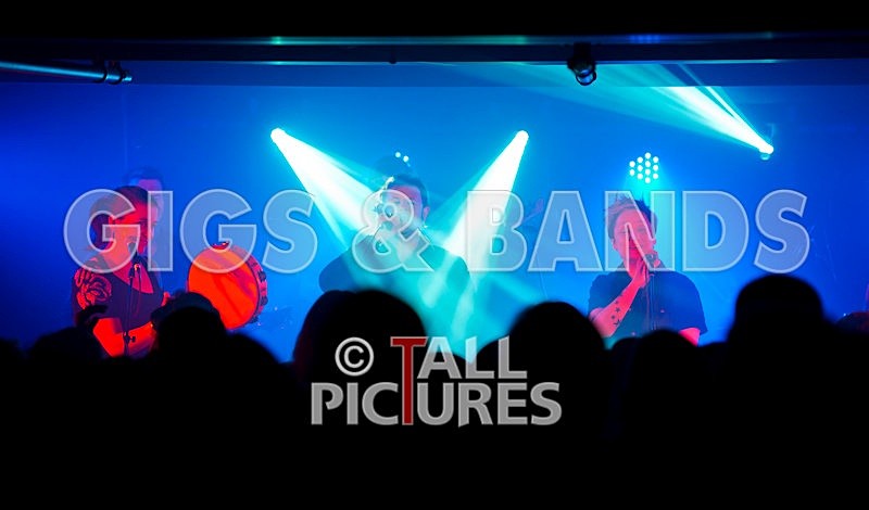 King Rat and the Soul Cats-148 - KING RAT & THE SOUL CATS