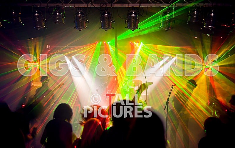 Peppered Ant Legs-78 - PEPPERED ANT LEGS