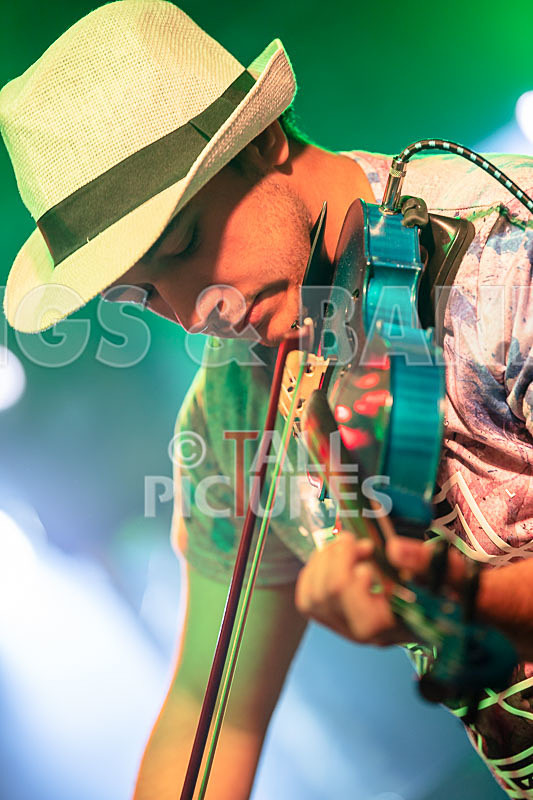 Peregrin-24 - PEREGRIN