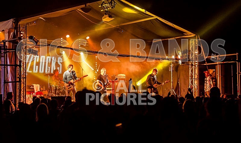 The Buzzcocks-34 - BUZZCOCKS