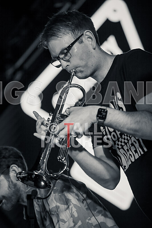 Sons of the Desert_Retro Festival_2020-360 - RETRO FESTIVAL 2020_SONS OF THE DESERT