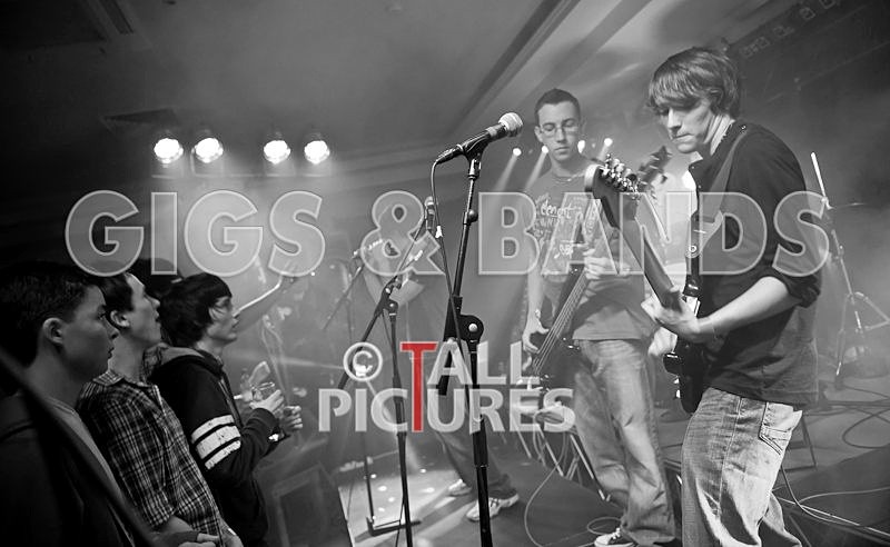 Feedback-13 - FEEDBACK