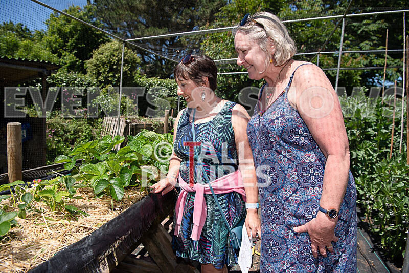 St Peters Hidden Gardens 2021-5 - ST PETERS HIDDEN GARDENS 2021