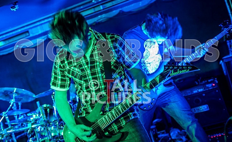 Brutus Stonefist-281 - BRUTUS STONEFIST