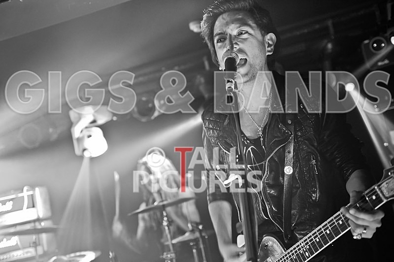 The Crave-44 - THE CRAVE