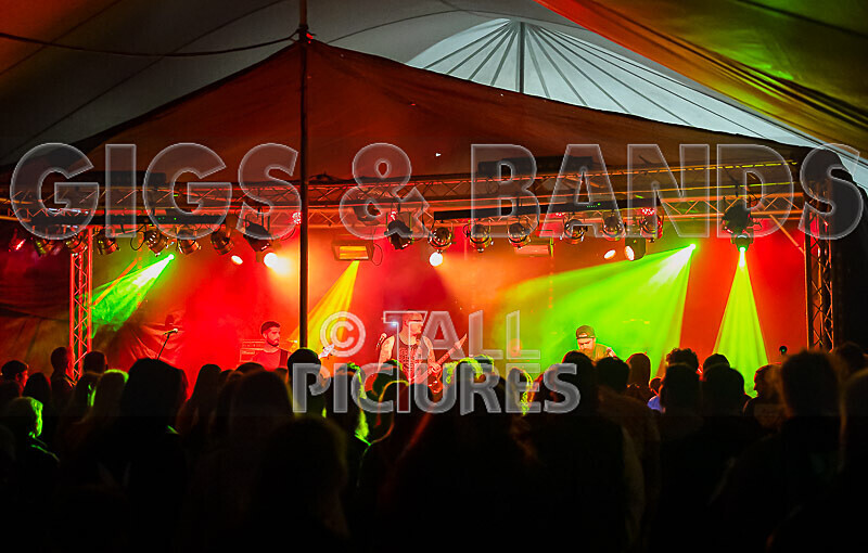 Demise of Sanity-258 - DEMISE OF SANITY