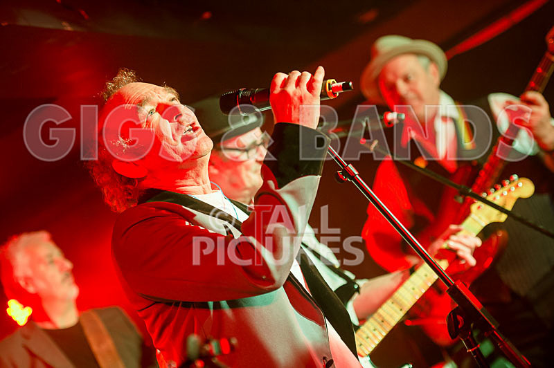 Alfie Bartons 25th Anniversary Gig-95 - ALFIE BARTON'S 25th ANNIVERSARY SPECIAL