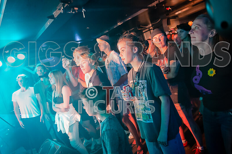 Black Dog-20 - BLACK DOG