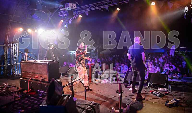 The King Blues-55 - THE KING BLUES